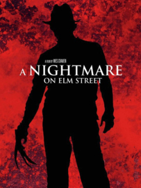 Nightmare on Elm Street (DVD)