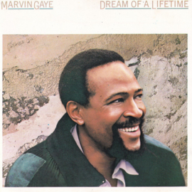 Marvin Gaye - Dream of a lifetime (CD)