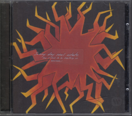 Sunny day real estate - How it feels to be something on (CD)