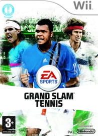 Grand slam tennis