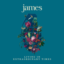 James - Living in extraordinary times (LP)