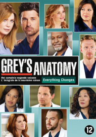 Grey's anatomy - 9e seizoen