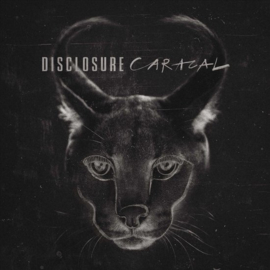 Disclosure - Caracal (CD)