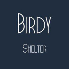 Birdy - Shelter (7")