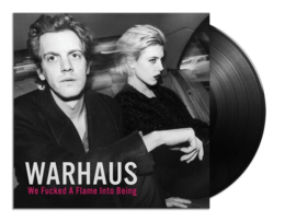 Warhaus - We fucked a flame into being (LP)