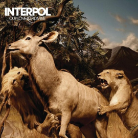 Interpol - Our love to admire (LP)
