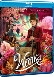 Wonka (Blu-ray)