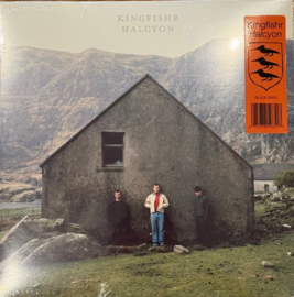 Kingfishr - Halycon (LP)