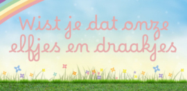 Elfjes en draken feitjes