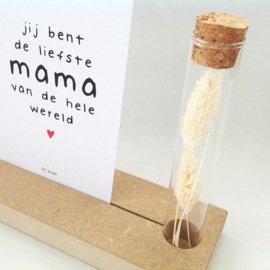Memory Shelf met Droogbloemen en een kaartje | Jij bent de liefste mama van de hele wereld