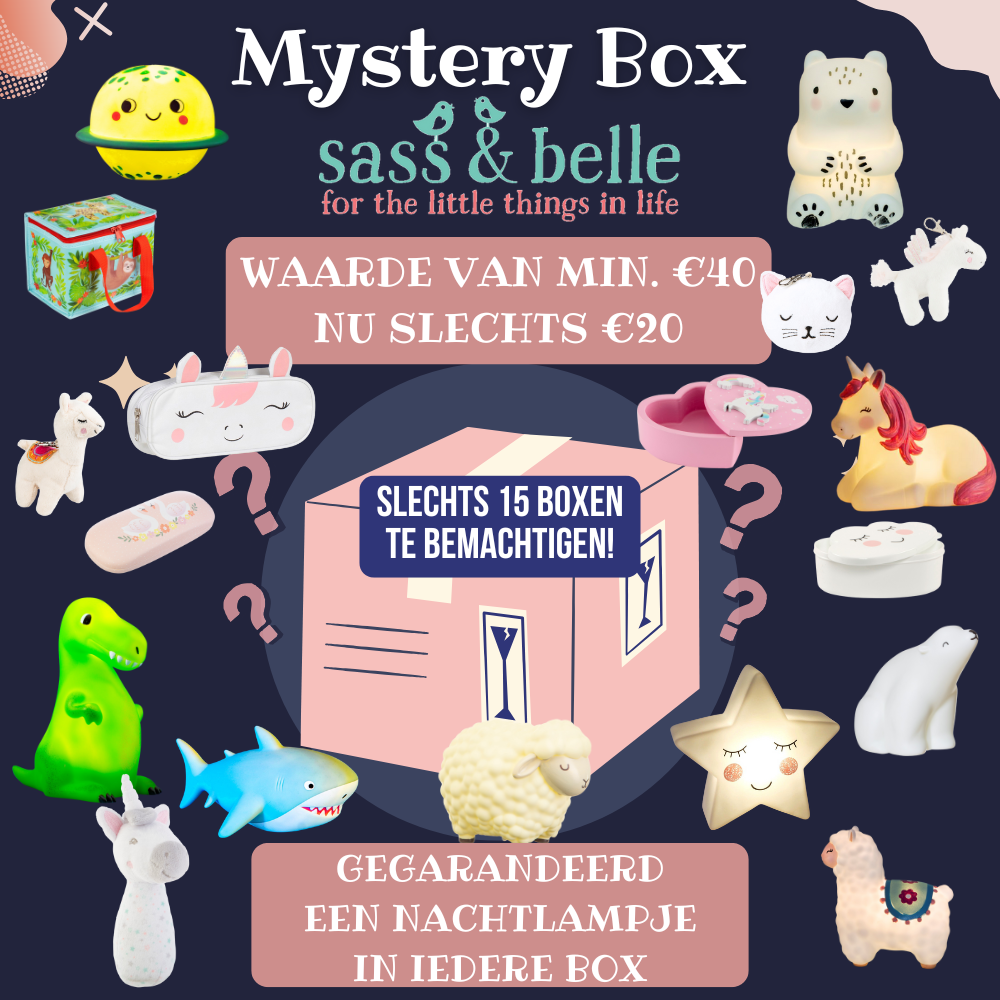 ✨ Mystery Box – Sass & Belle ✨