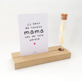 Memory Shelf met Droogbloemen en een kaartje | Jij bent de liefste mama van de hele wereld