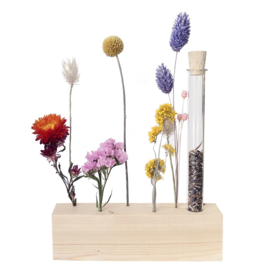 Seeds and Flowers - bloemenstandaard