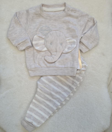 3-D Baby Elephant {NEW Collection}