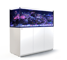 Reefer XXL 625 Wit
