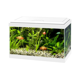 Aqua 20 LED wit 40*20*31.3cm (enkel afhalen)