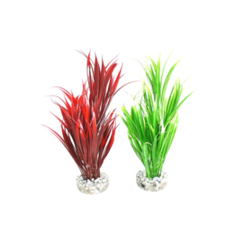 Sword Plant h:25cm