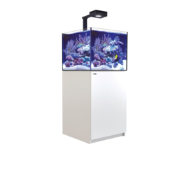 Reefer 200 Deluxe  Wit