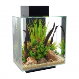 Fluval Edge II zwart 43*26*58 cm 46L (enkel afhalen)