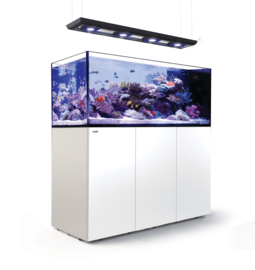 Reefer Peninsula 650 Deluxe Wit