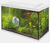 START 150 AQUARIUM KIT WIT (niet verzendbaar)