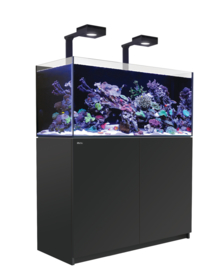 Reefer 350 Deluxe Zwart
