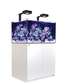 Reefer 300 Deluxe Wit
