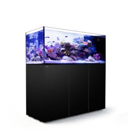 Reefer Peninsula 650 Zwart