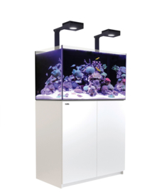 Reefer 250 Deluxe Wit