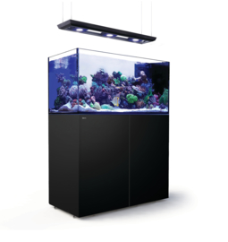 Reefer Peninsula 500 Deluxe Zwart