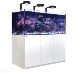 Reefer XXL 625 Deluxe Wit