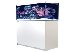 Reefer XL 425 Wit