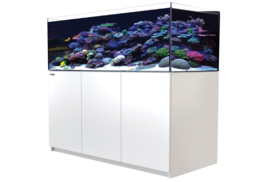 Reefer XL 525 Wit