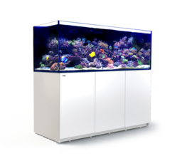 Reefer XXL 750 Wit