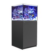 Reefer 200 Zwart