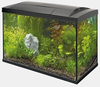 START 70 AQUARIUM KIT ZWART (niet verzendbaar)