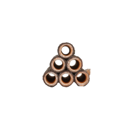 Garnalenschuilplaats S 7,3*7,3*6,8cm