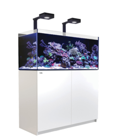 Reefer 350 Deluxe Wit