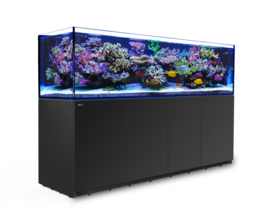 Reefer 900 Zwart