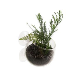 Plant Cup Glas 9*6*6cm