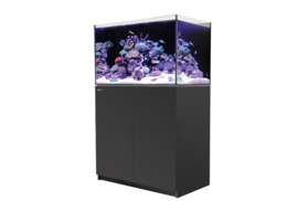 Reefer 250 Zwart