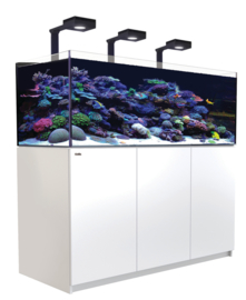 Reefer XL 525 Deluxe Wit