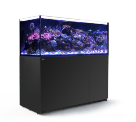 Reefer XXL 625 Zwart