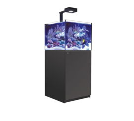 Reefer 200 Deluxe Zwart