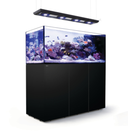 Reefer Peninsula 650 Deluxe Zwart