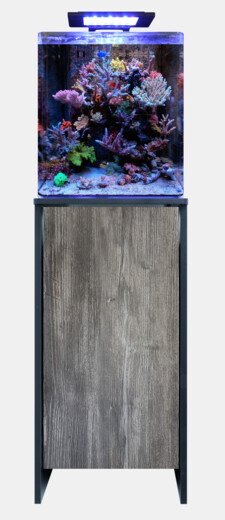 Blue Marine REEF 60 meubel zwart/pasa (enkel afhalen)