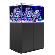 Reefer 300 Zwart