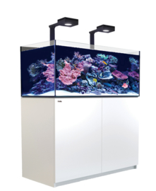 Reefer XL 425 Deluxe Wit