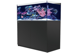 Reefer XL 425 Zwart