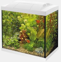 START 30 AQUARIUM KIT WIT (niet verzendbaar)